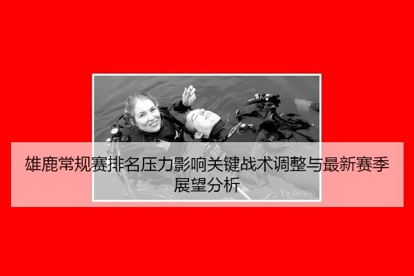 xiong-lu-chang-gui-sai-pai-ming-ya-li-ying-xiang-guan-jian-zhan-shu-tiao-zheng-yu-zui-xin-sai-ji-zhan-wang-fen-xi-2-291.jpg